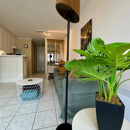 Apartment Sia - Lichtrijke Met Balkon Met Zijzeezicht In Hartje De Panne