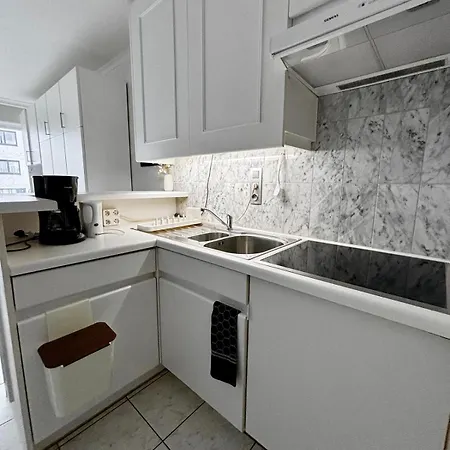 Sia - Lichtrijke Met Balkon Met Zijzeezicht In Hartje De Panne