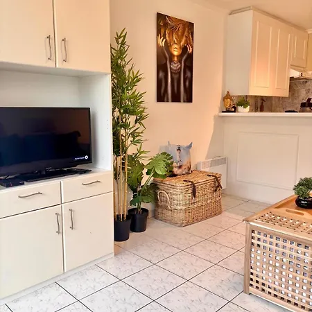 Sia - Lichtrijke Met Balkon Met Zijzeezicht In Hartje * De Panne
