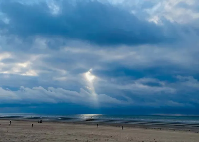 Apartment Sia - Lichtrijke Met Balkon Met Zijzeezicht In Hartje De Panne