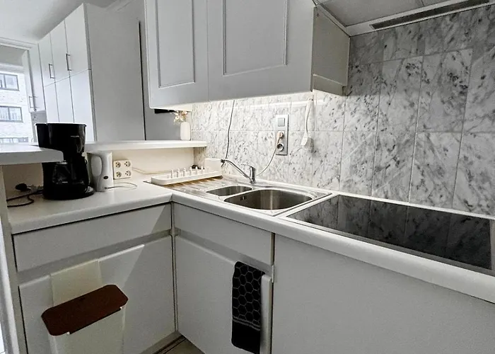 Sia - Lichtrijke Met Balkon Met Zijzeezicht In Hartje De Panne